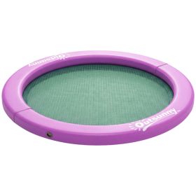 8FT Inflatable Water Hammock Floating Ring, Inflatable Floating Dock Platform for for Lakes, Pools, Oceans, Purple (Option: Purple-660x400x250 mm)